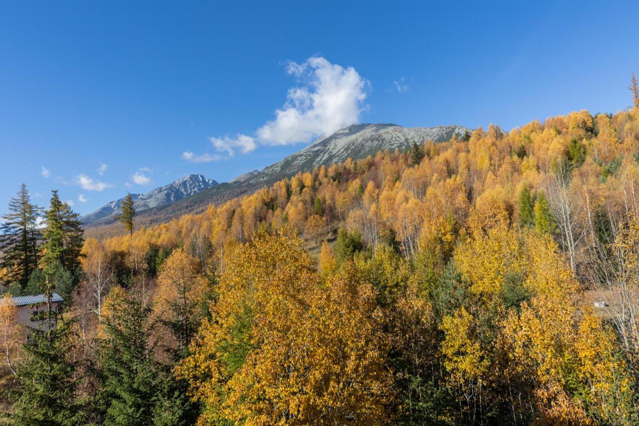 Vila Vlasta Apt. #401 Vysoké Tatry 외부 사진